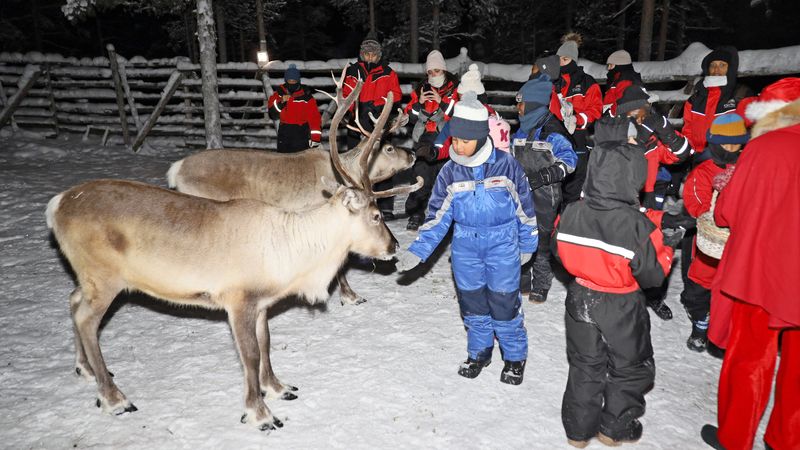 Moment particulier pour les enfants, nourrir les rennes, Laponie